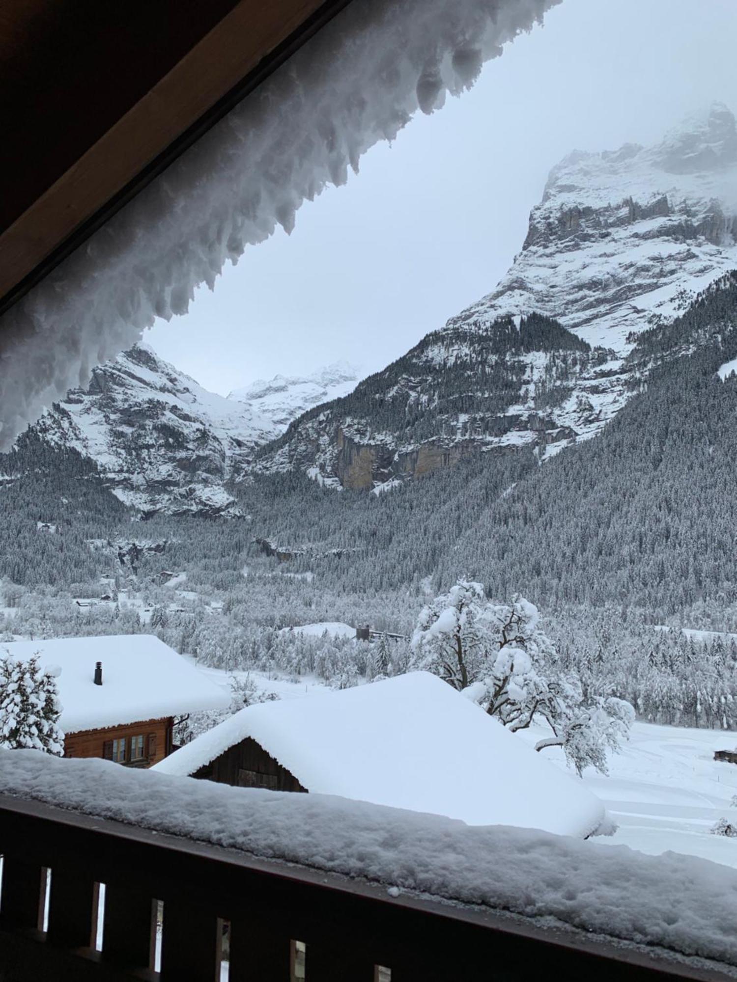 Silberhorn Leilighet Grindelwald Eksteriør bilde