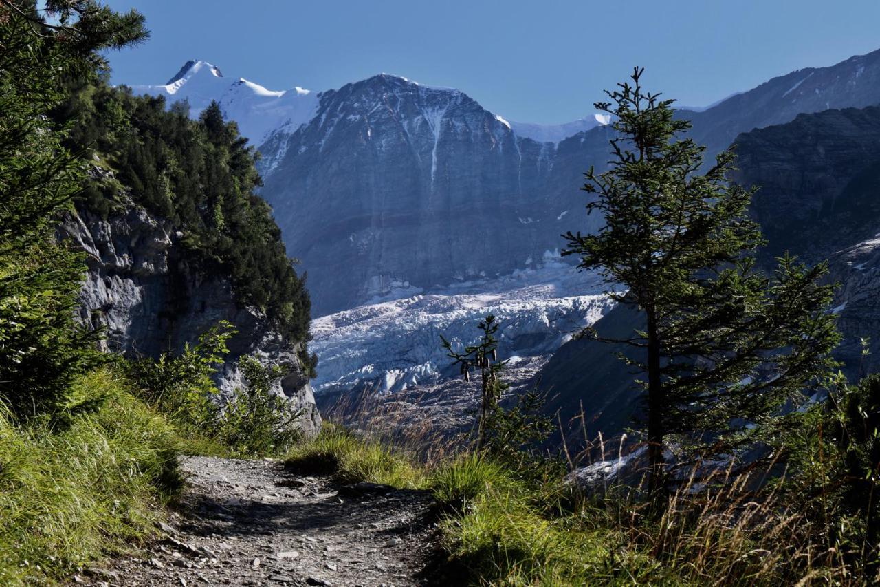 Silberhorn Leilighet Grindelwald Eksteriør bilde