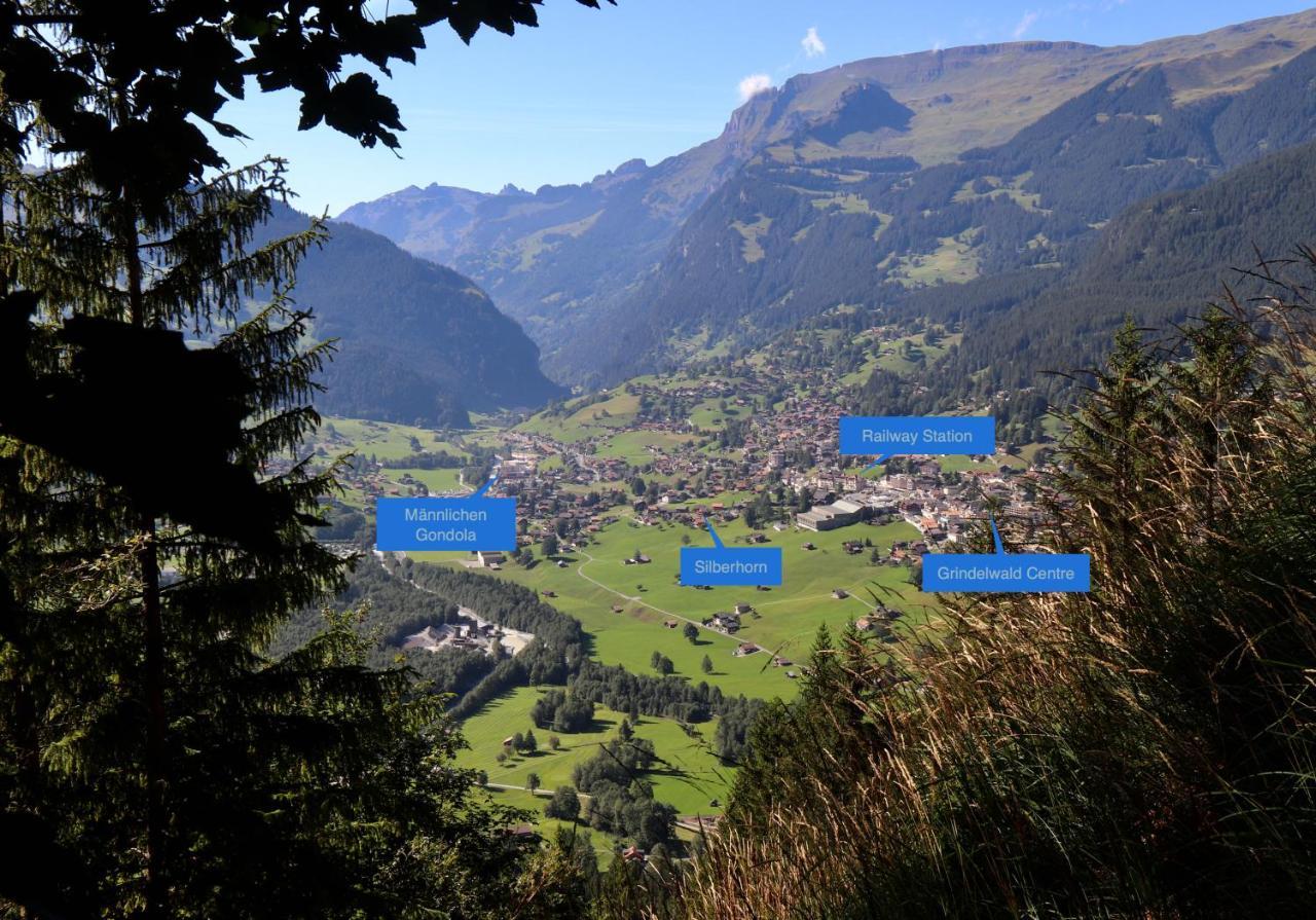 Silberhorn Leilighet Grindelwald Eksteriør bilde